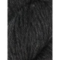 Queenland Collection - Falkland Chunky Iron - 10 Stränge